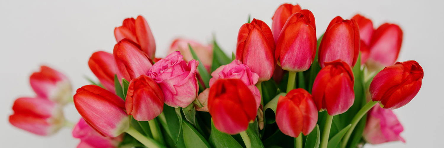 zahnarzt-maxvorstadt- galerie8